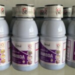 Lambda Cyhalothrin 2.5 EC 250ml - Effective Crop Insecticide
